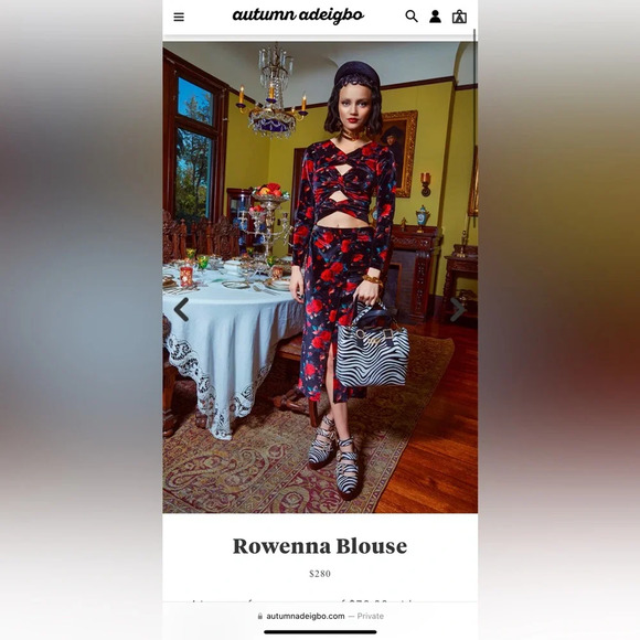 NWOT Autumn Adeigbo Rowena Cutout Floral Velvet Twisted Blouse Long Sleeve Top 4 - Picture 2 of 9